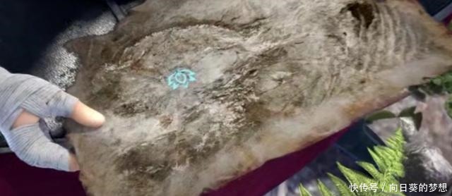 萧炎|斗破苍穹动漫如果拥有这个异火,萧炎前期就会更强大