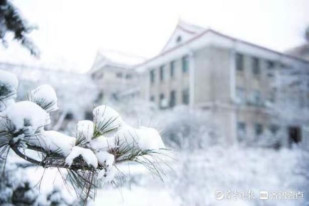 一下雪，山师大老校更显诗意盎然