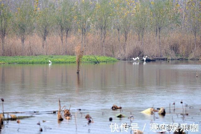 野河钓鲫鱼，满足2个原则的钓位有7个，不用担心钓不到鱼