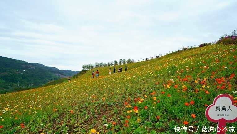 五一节“最”想去的地方，四季如春，山花烂漫的杨梅小镇