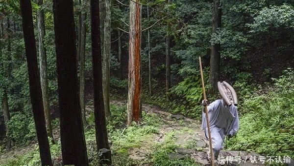  回峰行|史上最残酷的修行：日本1300年来，只有三人做到