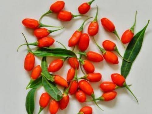 预防脂肪肝|它是肝病的“特效药”，平时放心敞开吃，或助你排肝毒，肝更健康