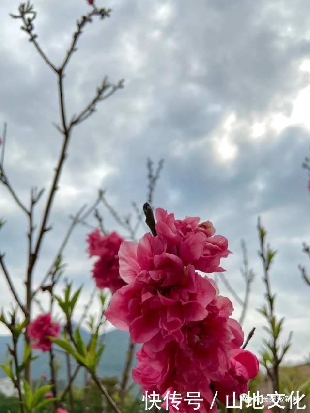  长泰不负春光不负卿艳遇一城长泰好风景