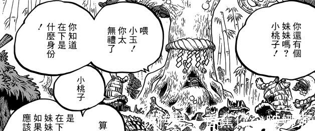 大蛇将军|海贼王小紫身份明朗,因桃之助的名字严肃,还是不屈的武士之女!
