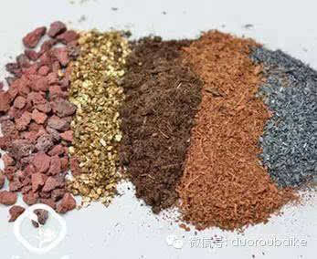 史上最全的多肉植物用土原则和配土方法 快资讯