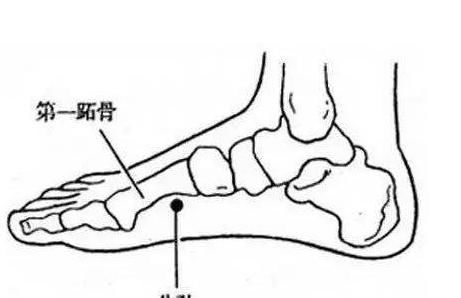 公孙穴|每个人身上都有一个“皇帝穴”,健脾和胃,还能缓解痛经、心痛