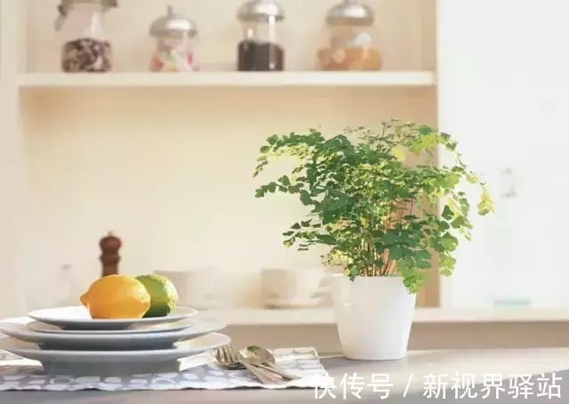 做饭|夏天在厨房做饭热疯了怎么办？尚尧教你几招“降温”方法