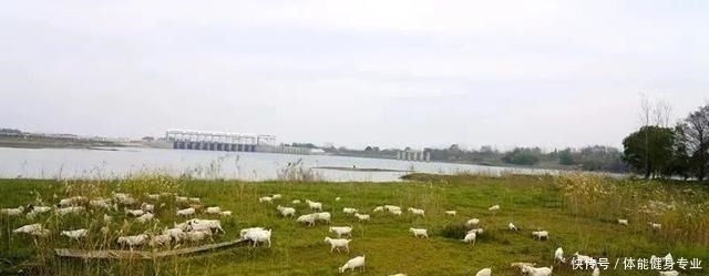 南陵这道“神仙美味”何以经久不衰有秘诀!南陵这道“神仙美味”何以经久不衰有秘诀!