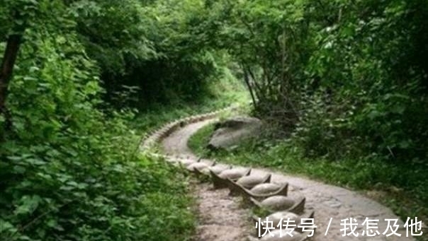 |搞笑图片幽默段子:你这胃口可真好啊,一顿饭都抵得上我一天的了