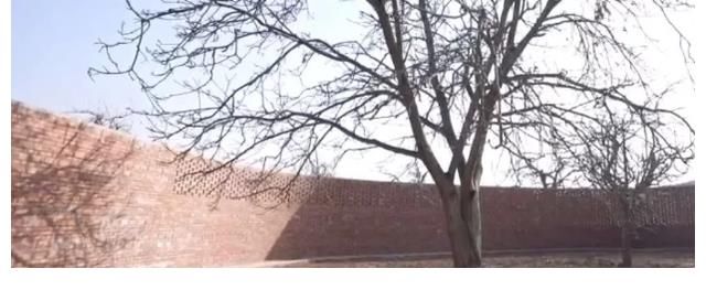 132萬改造廁所？東方衛(wèi)視被扯下遮羞布，王小騫點(diǎn)評大快人心！