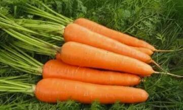 排尿|排尿黄，异味大可能是这些问题在作怪，别傻傻以为是上火了