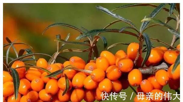 脾胃|7岁男孩脾衰竭,“伤脾胃推手”揪出,医生:这东西不能天天吃