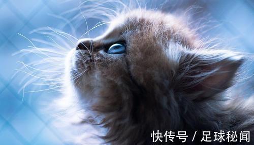 |幽默笑话：老公在猪肉店打工，绞肉的时候不小心断了两个手指