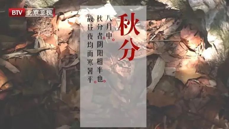 温燥|秋天养得好,冬天病不找!记住“4个防”,润燥、补虚又解乏,全家都受用~