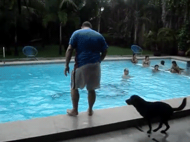 |搞笑动图:上一秒很帅,下一秒很疼!