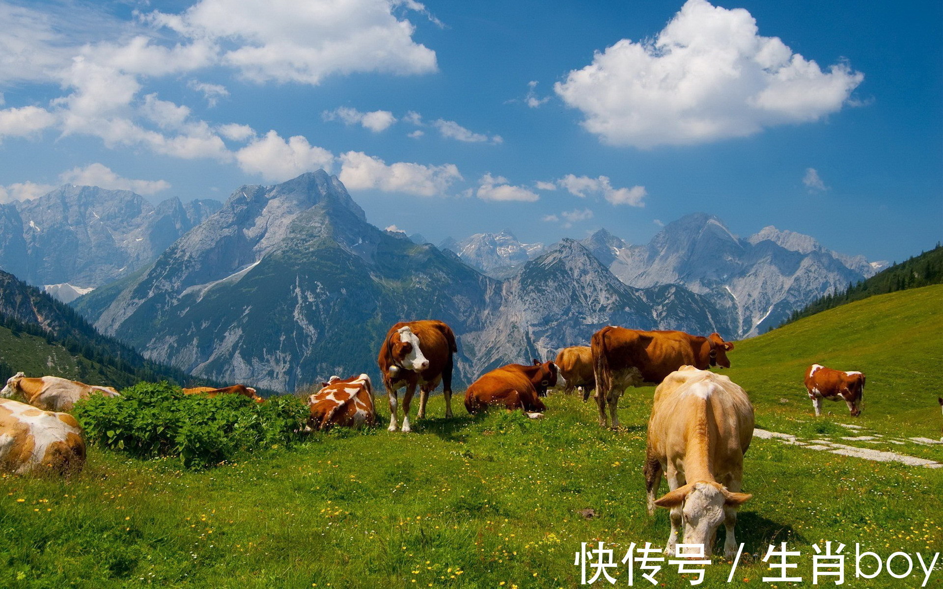 贵人|庚寅虎年起，4大生肖会有“三次贵人运”，把握住一次虎年顺遂！