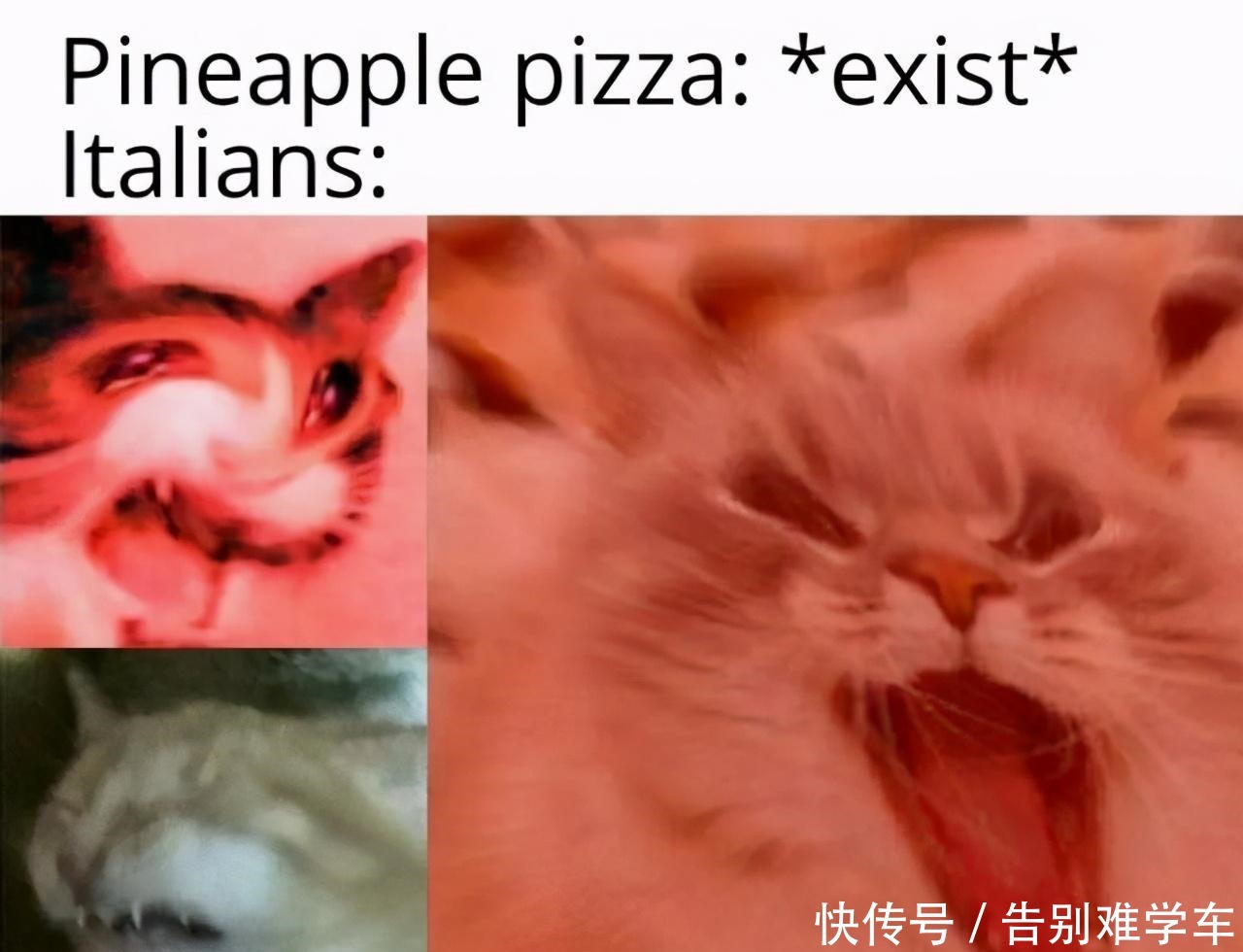 Pizza|要彻底惹毛一个意大利人,你只需在他的Pizza上加奇异果!