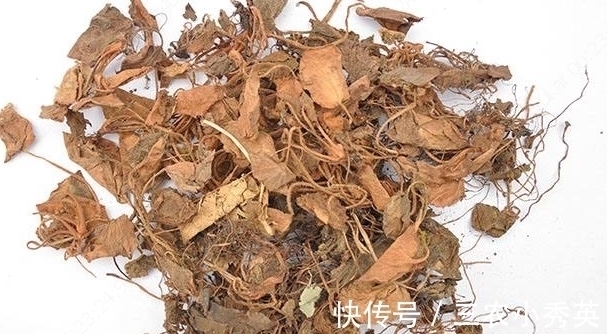 农村|农村一种长在阴湿地方的野草，很多农民不认识，晒干后40块一斤