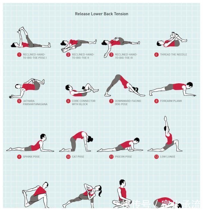序列|这套瑜伽序列,专门针对下背部不适,零基础也可以在家练!
