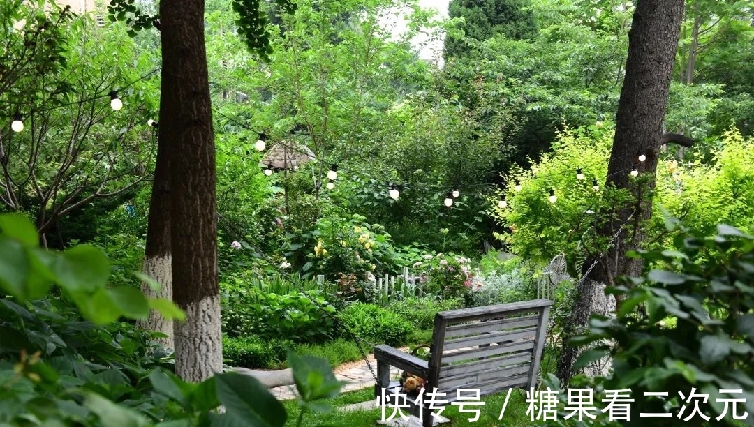 王俐|服装设计师兼花园设计师,裁剪最美的花园时光