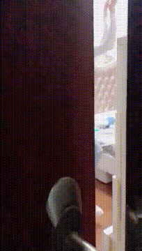 |搞笑GIF:锁骨窝里能养鱼,这身材才算是厉害啊