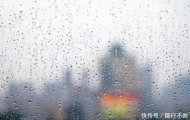 白扁豆|湿气重?牢记:少碰“三物”,多吃“四白”,祛湿排毒,一身轻松