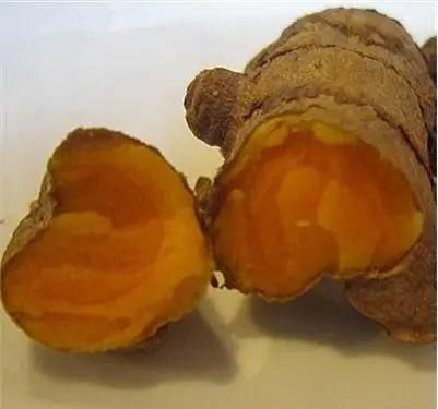 农村山上一种“黄金”农村人都不吃,城里人稀罕的很