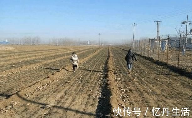 别院|农村房子土？那是没见过我改造的农家别院，土豪出300万我都不卖