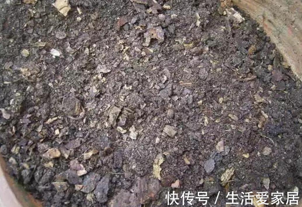 万能土|家庭养花，营养土不用买，自制花土，松软、肥沃，养什么花都旺