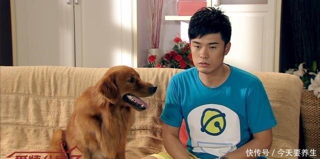 35岁的陈赫转型第一次饰演大反派,阴差阳错成功了,这就是命!