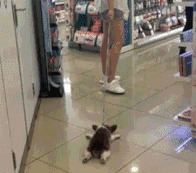 |搞笑GIF:专业电灯泡20年,这车妹子还能淡定的坐下去