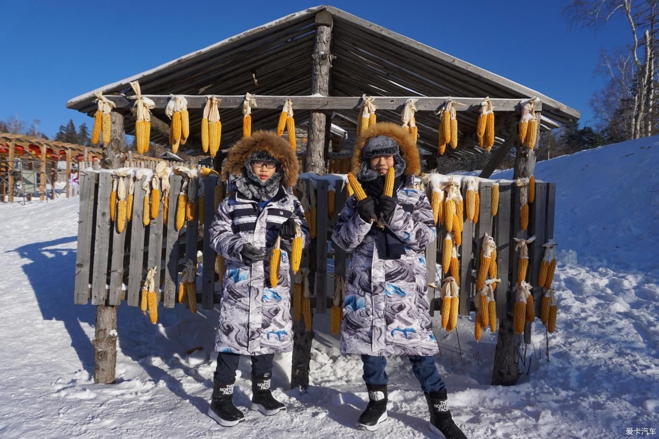 你在南方的艳阳里，大雪纷飞，我在北方的寒夜里，四季如春……