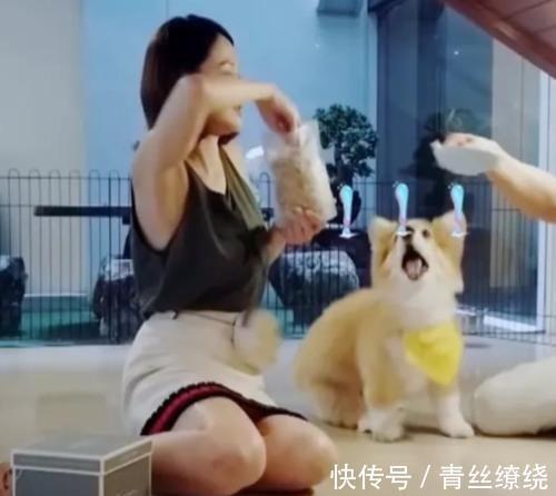 陈乔恩光脚坐地上,却忘了自己还穿的裙子,字幕都来不及救场!