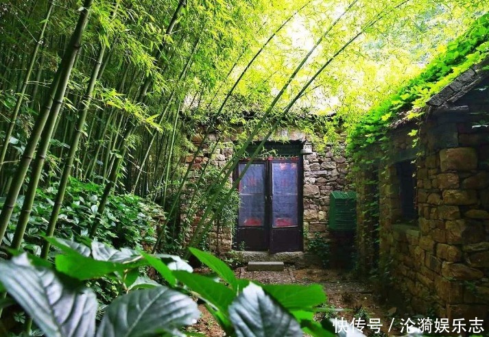 种树|“门前不栽竹,房后不栽树”,说的是啥为什么有这种说法