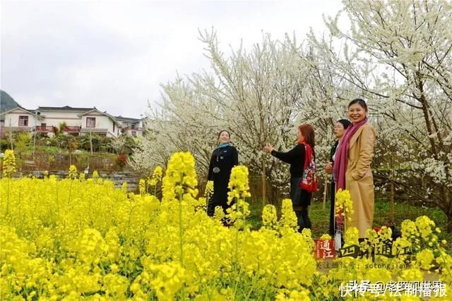 美成仙境!巴中通江“春天的颜色”来了