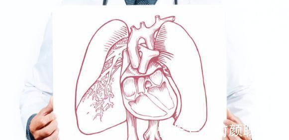 身体机能|长寿之人,多有“3大2长”,若能占2个以上,长命百岁不是梦
