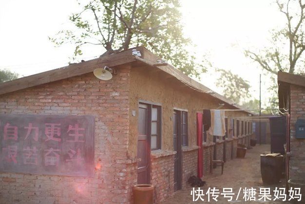 房子|“没房子怎么结婚”？儿女不满租房子住，父母就要倾尽所有买房？