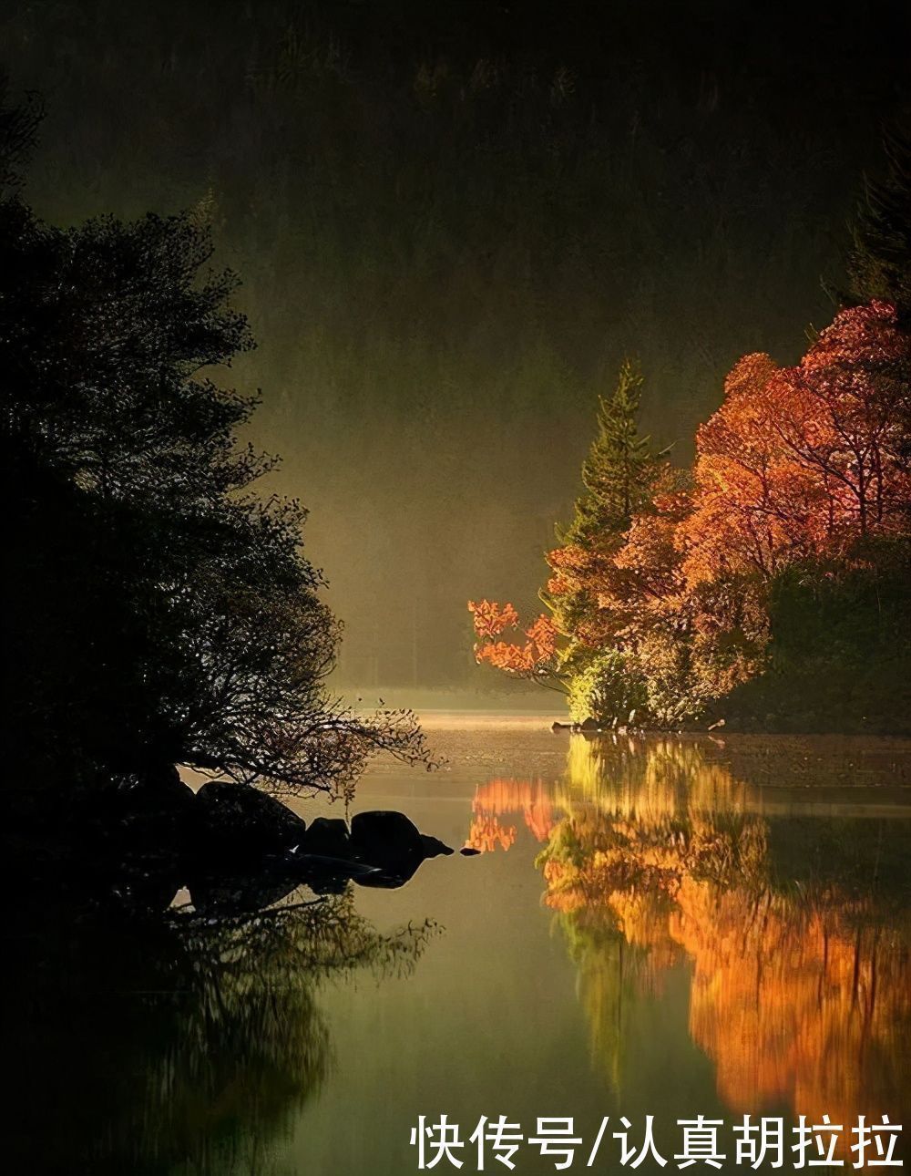 四川巡抚&陆游一首休闲诗,写出一句千古名言,人在低谷时可以学习一下