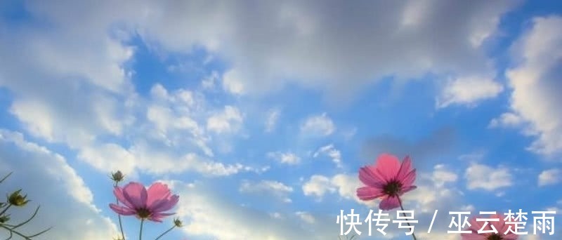 北山#王安石这首诗也被严重低估了,句句是经典,最后两句美得令人心醉