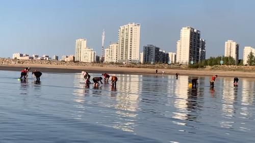 夏天，碰到此肉别手软，一次性囤30斤，放冰箱冻起来，特省事