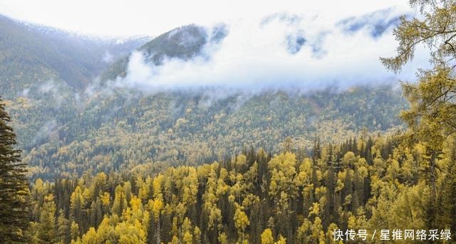 人间仙境喀纳斯，一年四季景色各不同，是新疆必打卡的景点之一