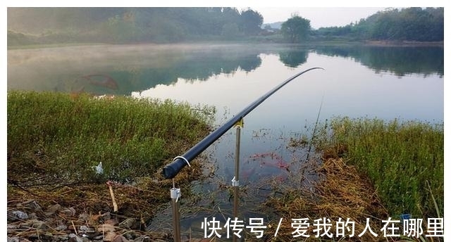 野钓青鱼,钓一次爽一次的攻略和技法