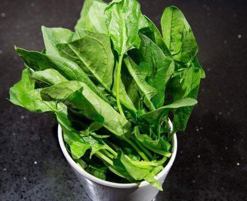 中薪|豆腐和此物一起吃,相当于“慢性吃毒”,现在知道还不算晚