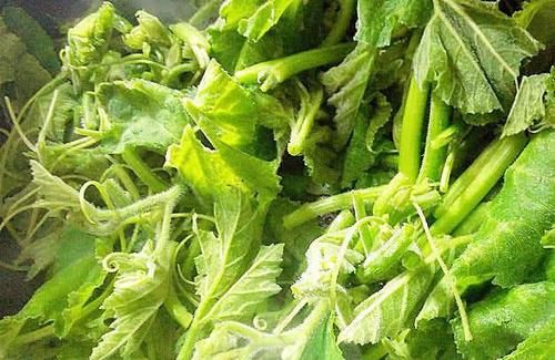 女性不想長(zhǎng)皺紋，以下果蔬換著吃，滋養(yǎng)肌膚，減少皺紋，皮膚細(xì)膩