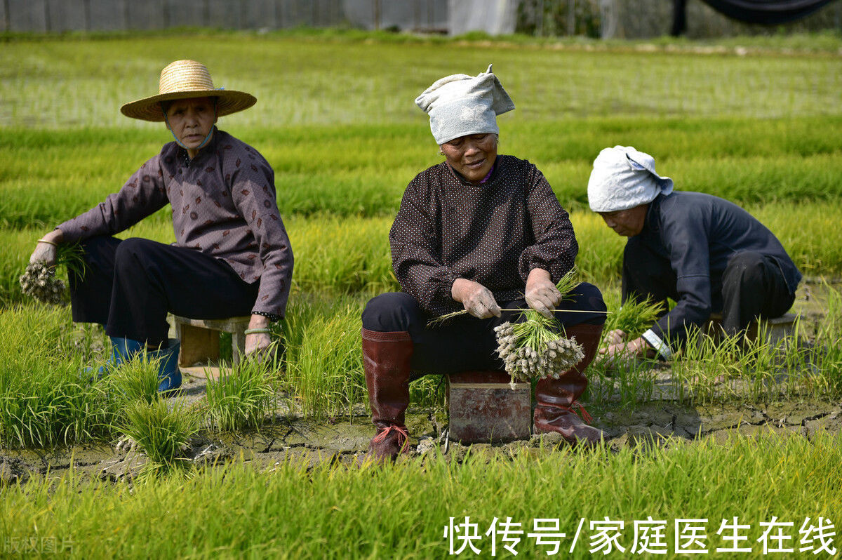 益生菌|肠道健康是长寿标志？做好3点保护肠道菌群，人健康又长寿