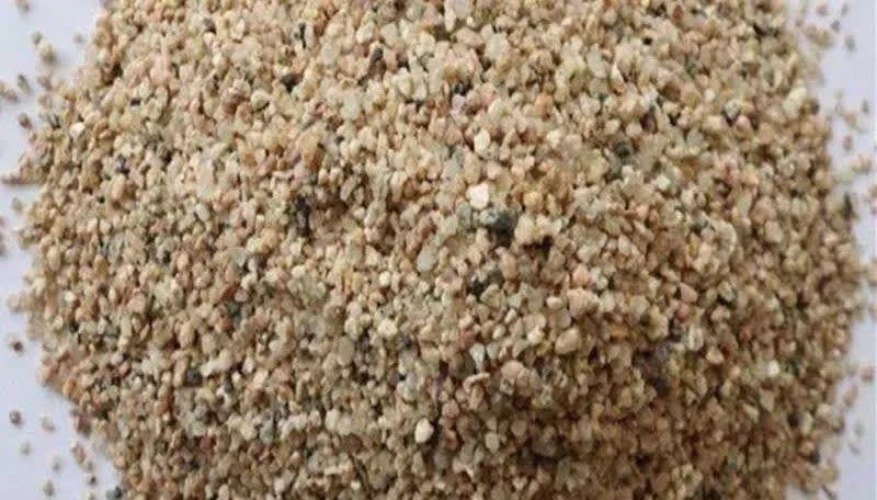 3种“东西”别浪费,路边一大推,一分钱不花,养花效果一级棒