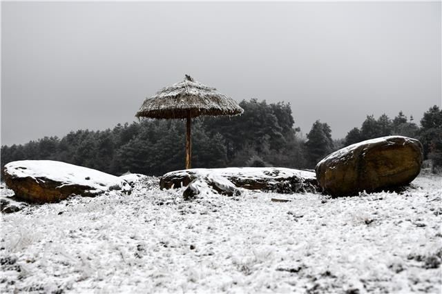 仙境|百里杜鹃，一下雪就美成仙境~