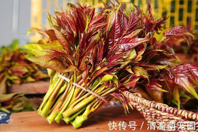 这4种野菜自带“毒素”，为了健康别偷懒，记得要焯水，收藏了