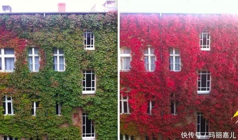 中年|30张过去和现在的对比照片,感受一下时间的力量