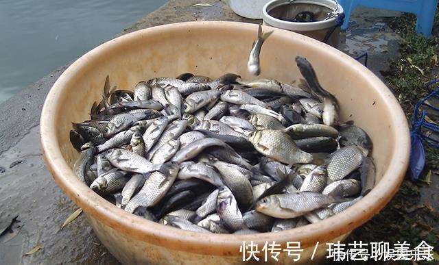钓友|钓到鱼的好办法并非全靠钓具,而是靠“套路”